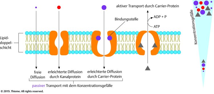 Bitte Beschreibung eingeben