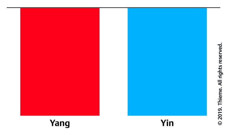 Abb. 6.2 Yin-Yang-Diagramm.