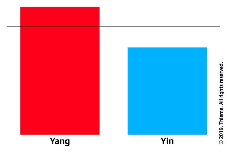 Abb. 6.3 Absolute Yang-Fülle bzw. Yin-Mangel