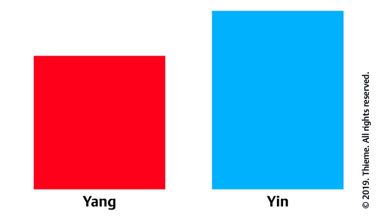 Abb. 6.5 Relative Yin-FÃƒÂ¼lle.