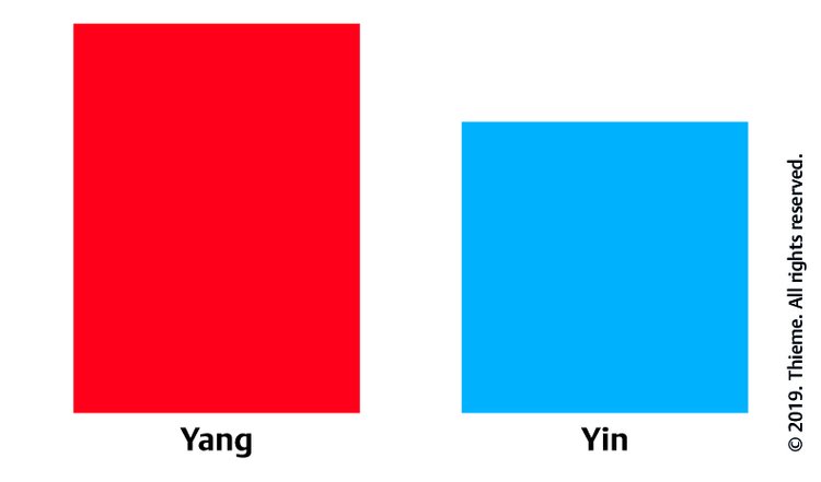 Abb. 6.6 Relative Yang-FÃƒÂ¼lle.